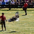20170527 142234 0084 D7200