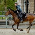 20240420 130434 00350-Bearbeitet